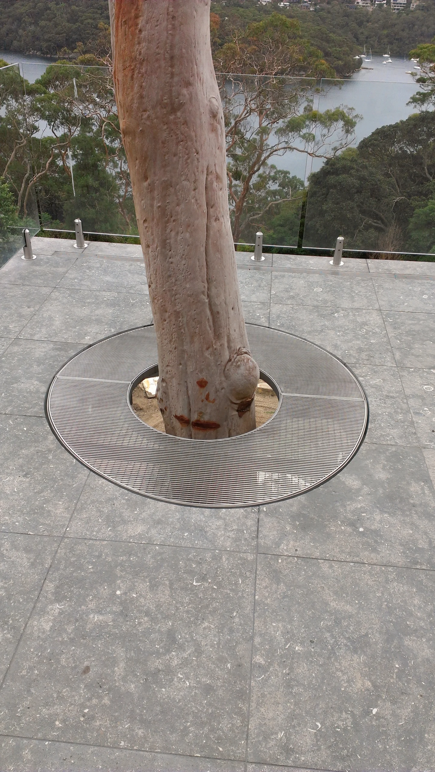 Infinity Drain — Inspiration — Custom Drains — Wedge Wire Tree 2 WW SS Custom